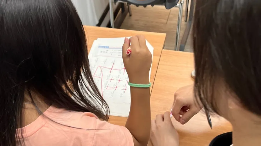압구정 국제학교 수학학원 1:1 맞춤수업 Algebra, Geometry